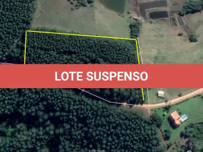 LOTE  - 18 HECTARES DE FLORESTA DE EUCALIPTO EM PÉ APROX 10 ANOS