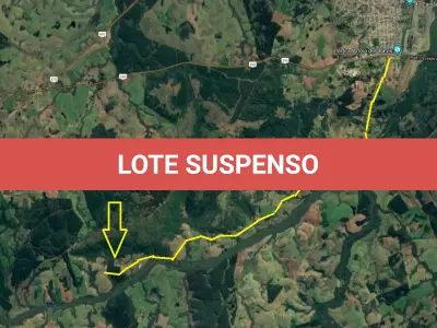 LOTE  - 18 HECTARES DE FLORESTA DE EUCALIPTO EM PÉ APROX 10 ANOS