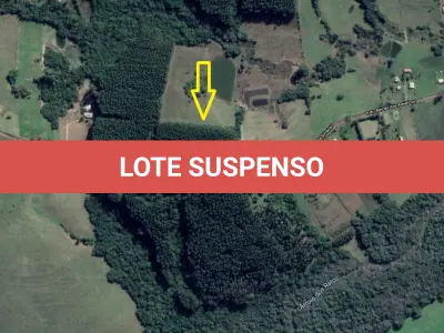 LOTE  - 18 HECTARES DE FLORESTA DE EUCALIPTO EM PÉ APROX 10 ANOS