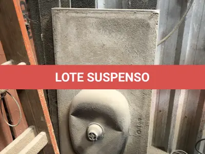 LOTE 026 - Pia