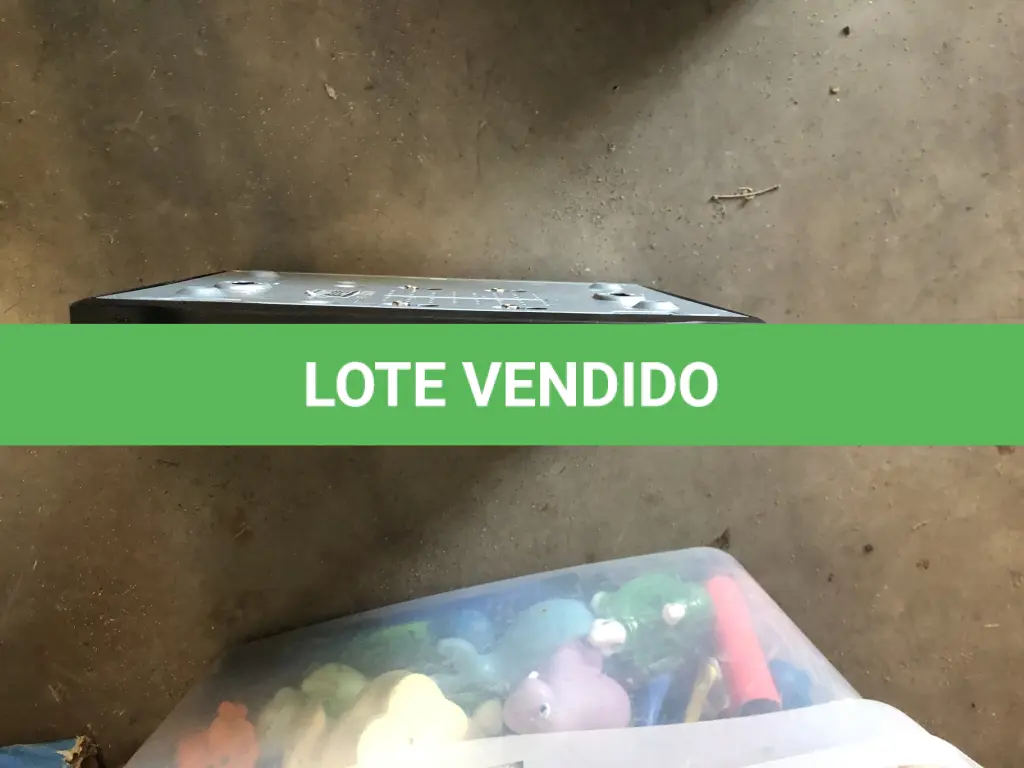 LOTE 031