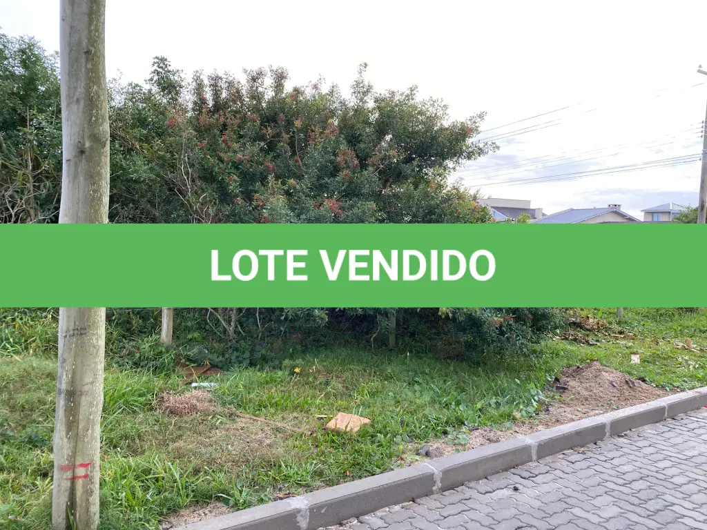 LOTE 008