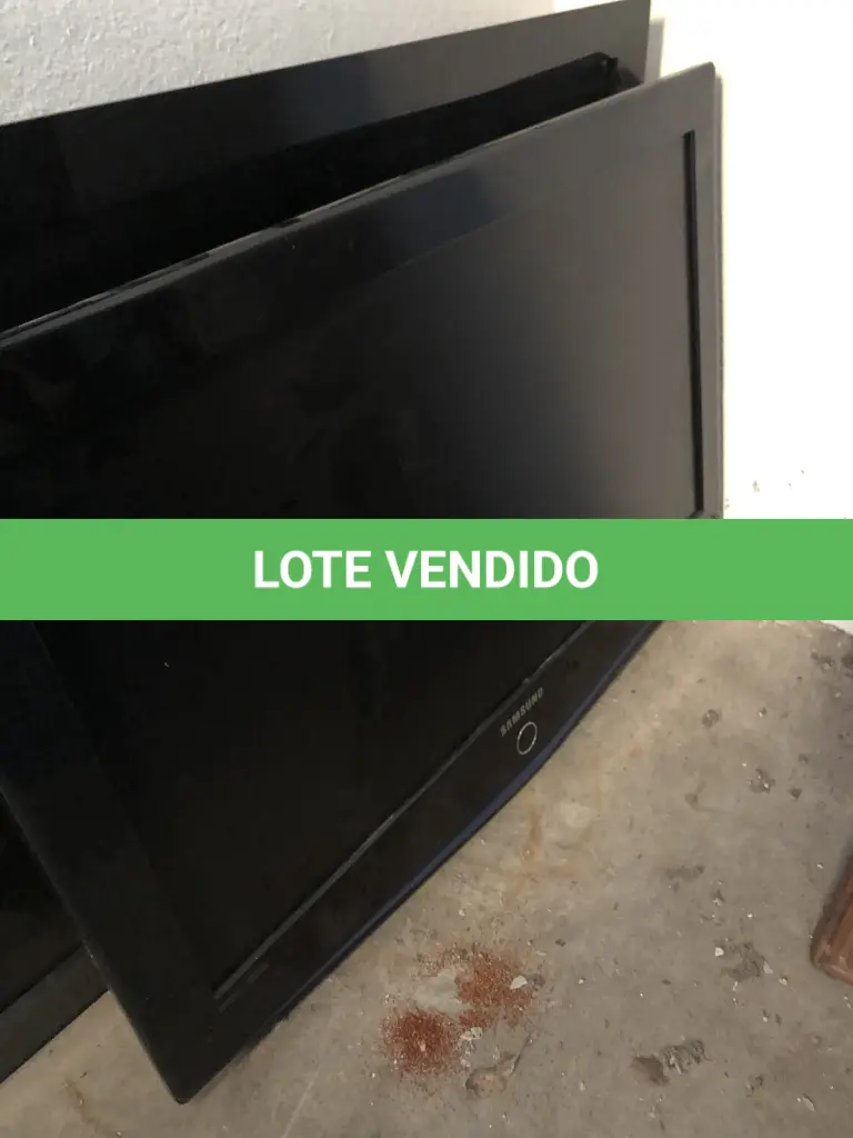 LOTE 021