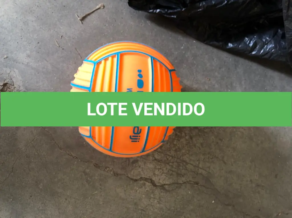 LOTE 099