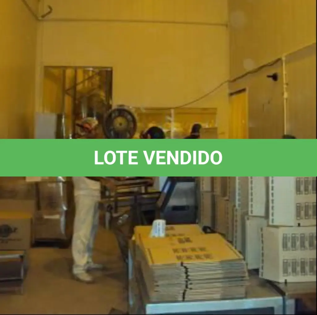 LOTE 1