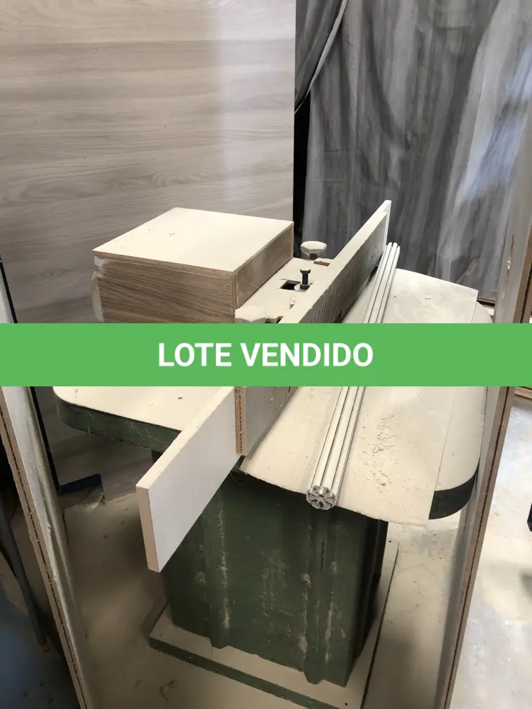 LOTE 029