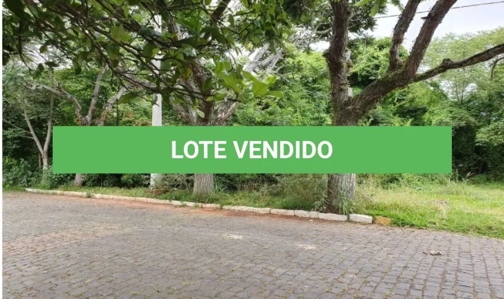 LOTE 1