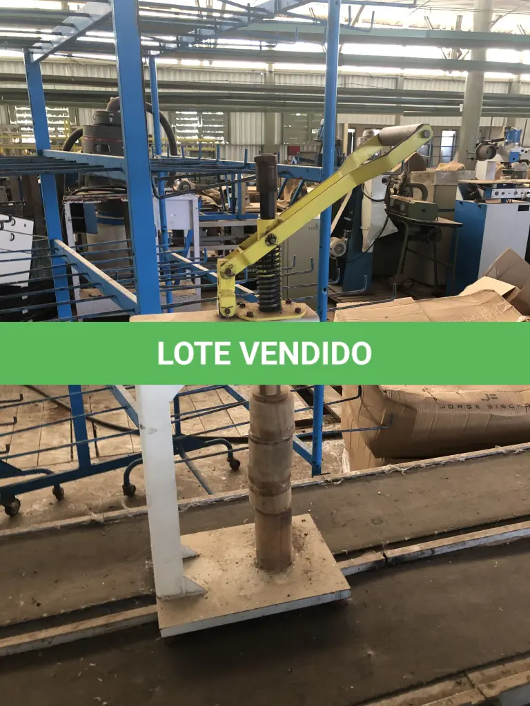 LOTE 007