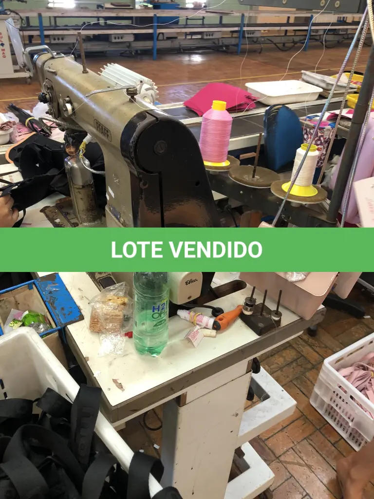 LOTE 242