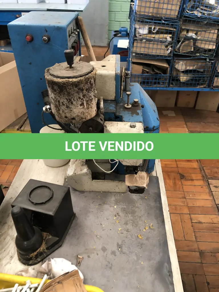 LOTE 312