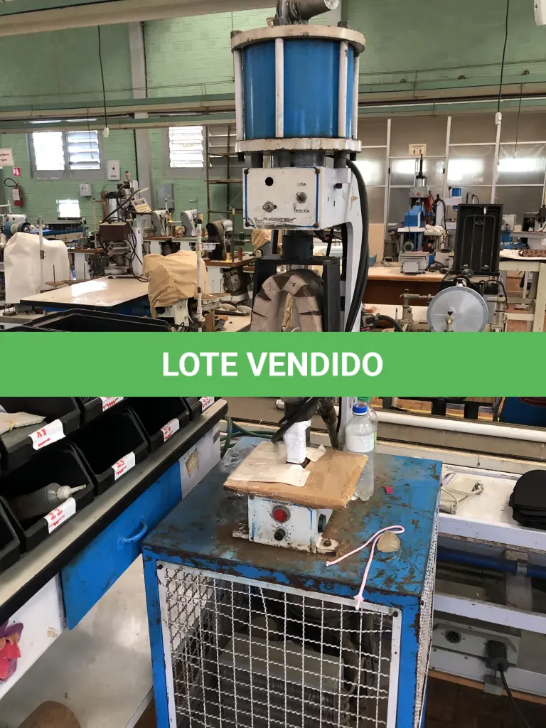 LOTE 256