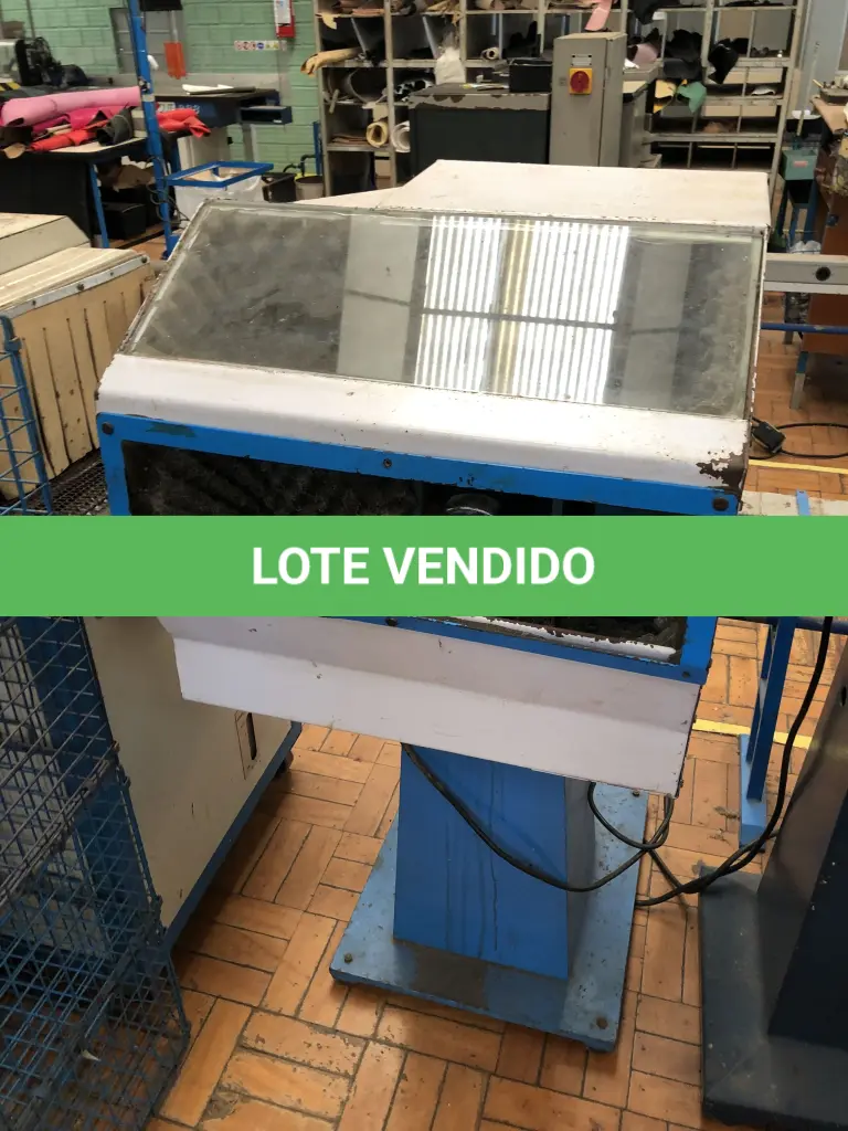 LOTE 295