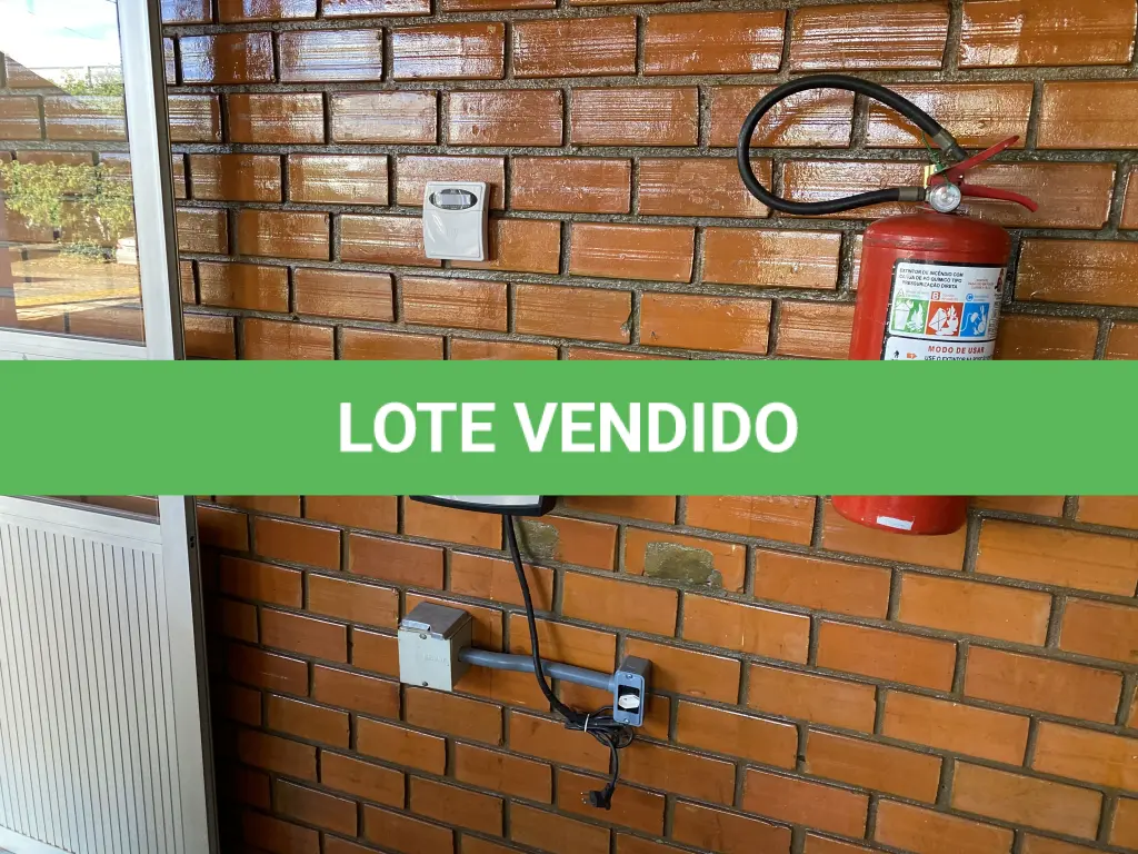LOTE 496