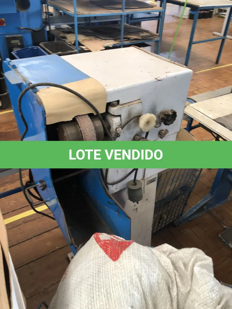 LOTE 407
