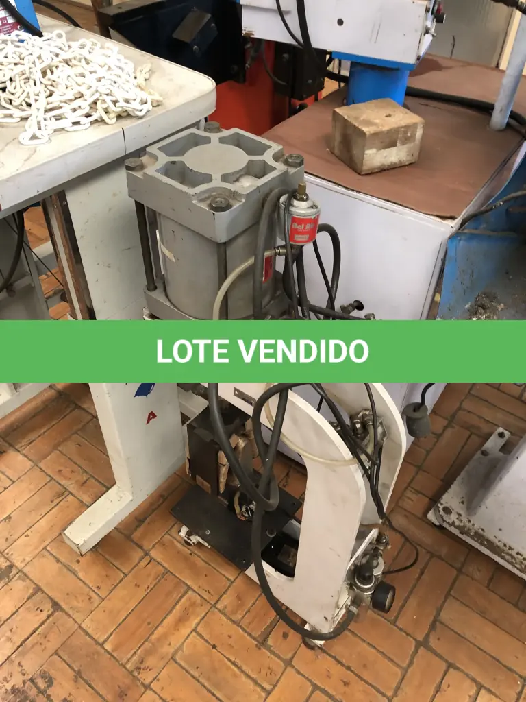 LOTE 384