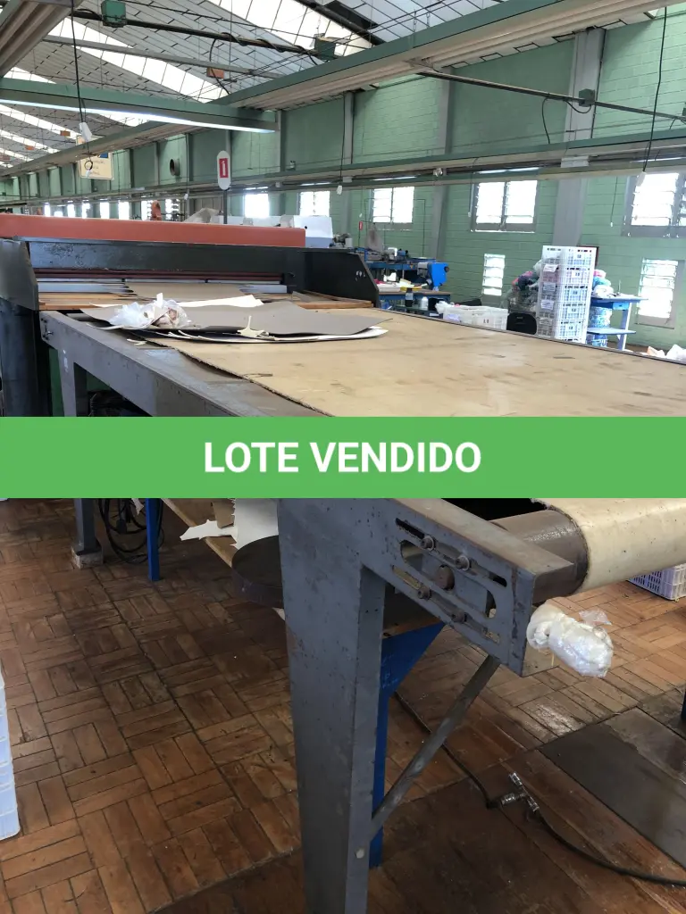 LOTE 251