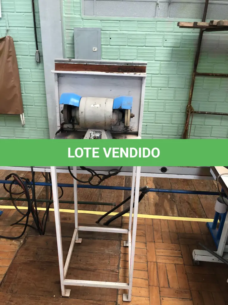 LOTE 391