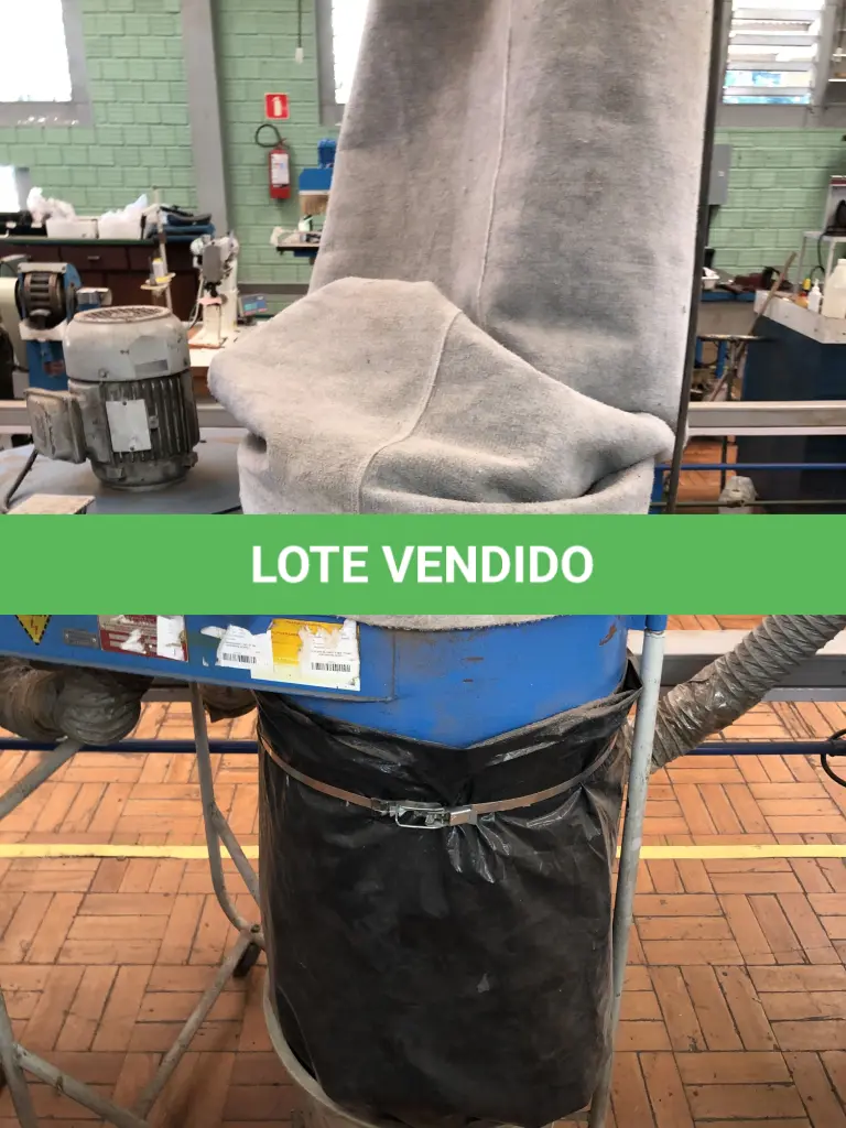 LOTE 319