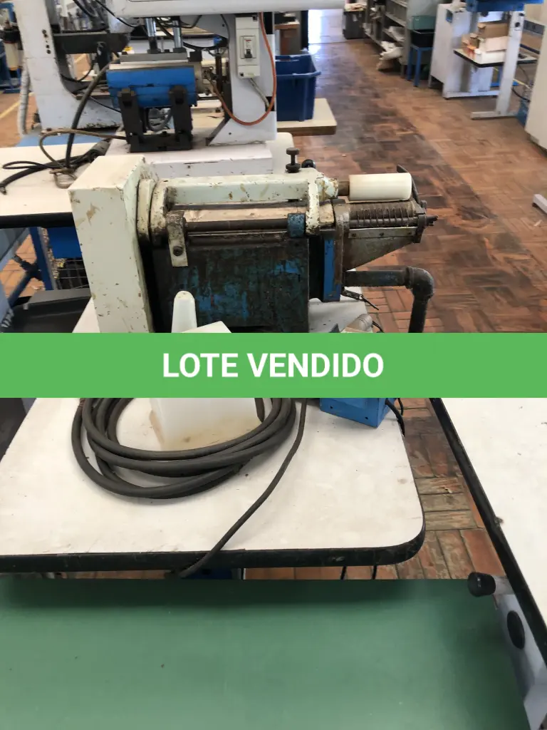 LOTE 309