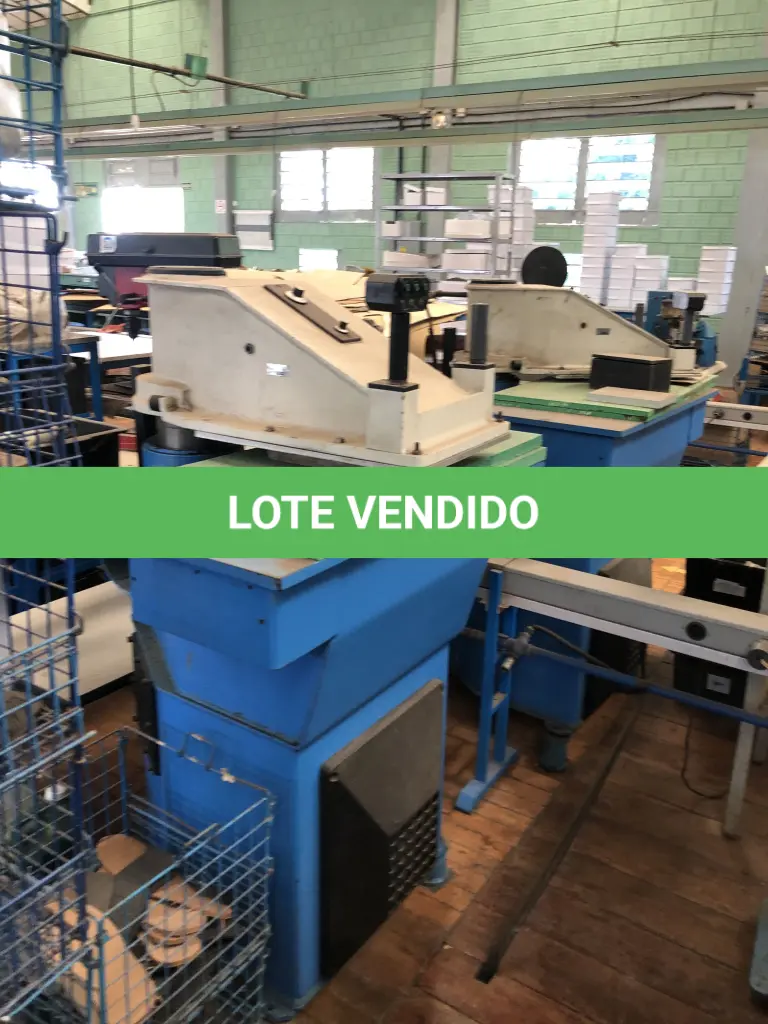LOTE 266