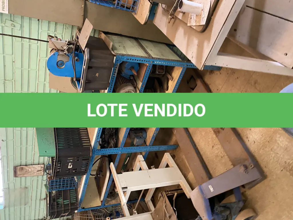 LOTE 484