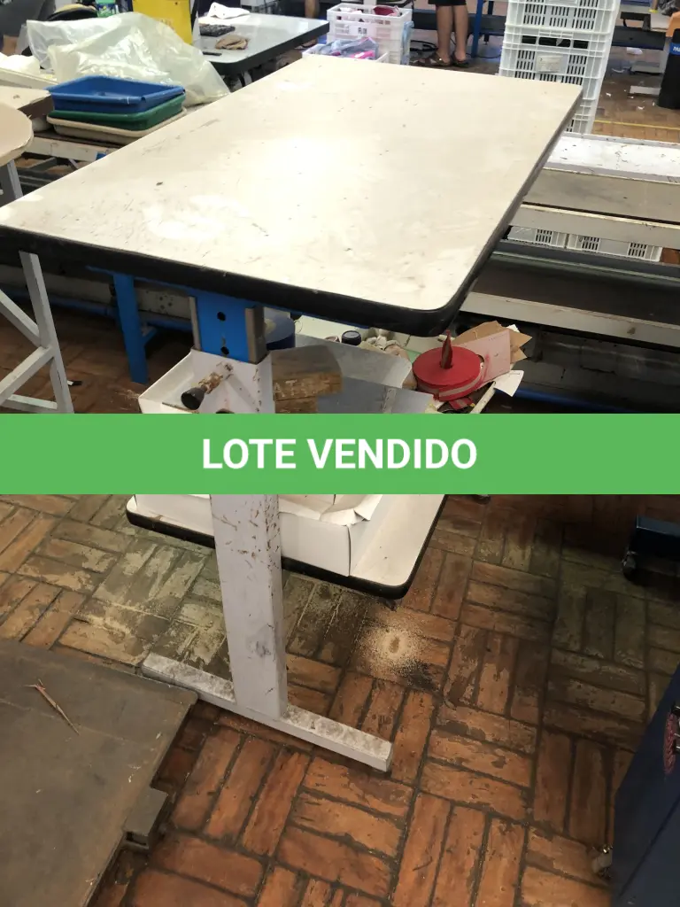 LOTE 334