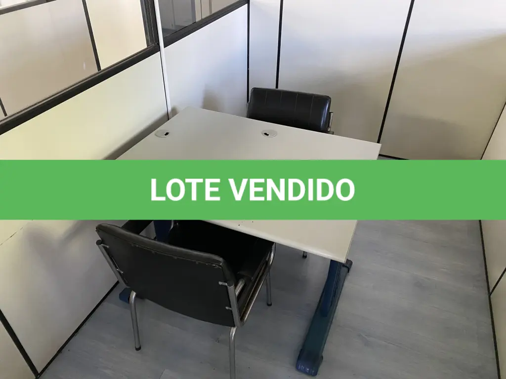 LOTE 493