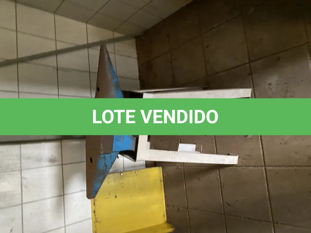 LOTE 487