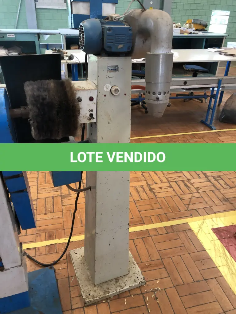 LOTE 303