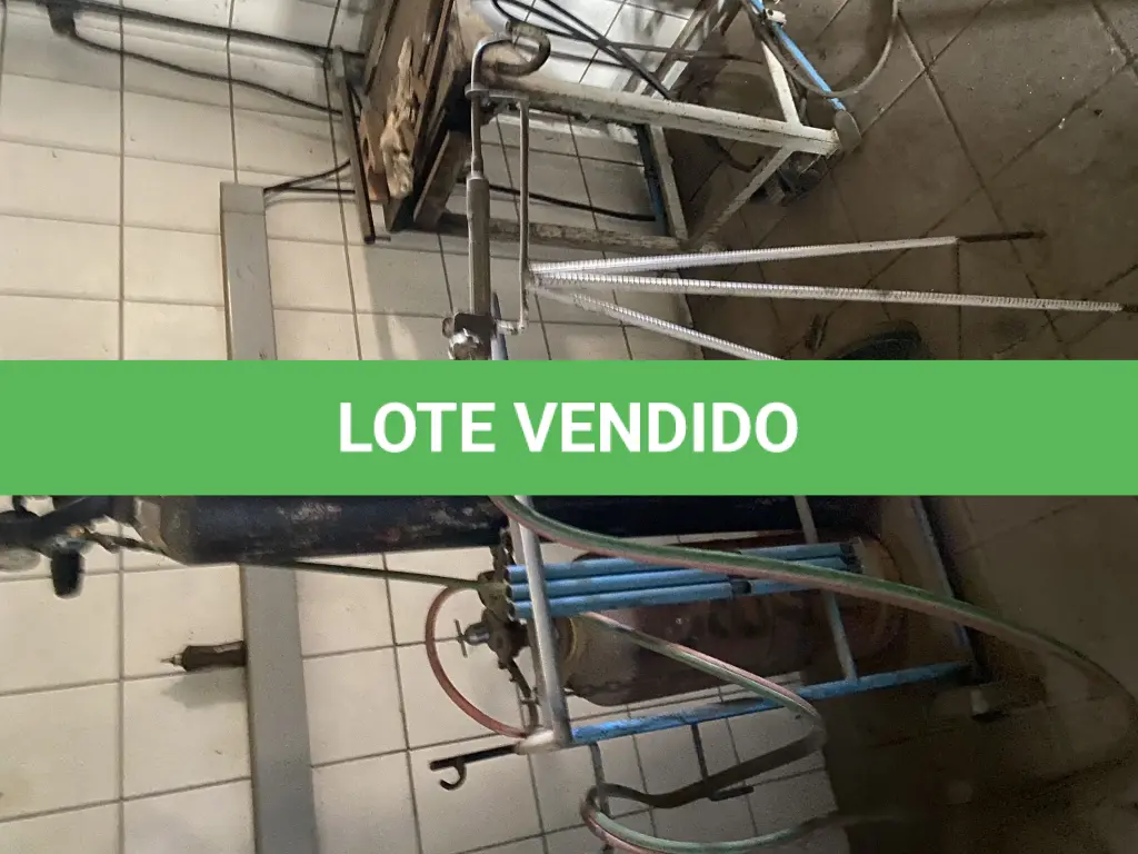 LOTE 490