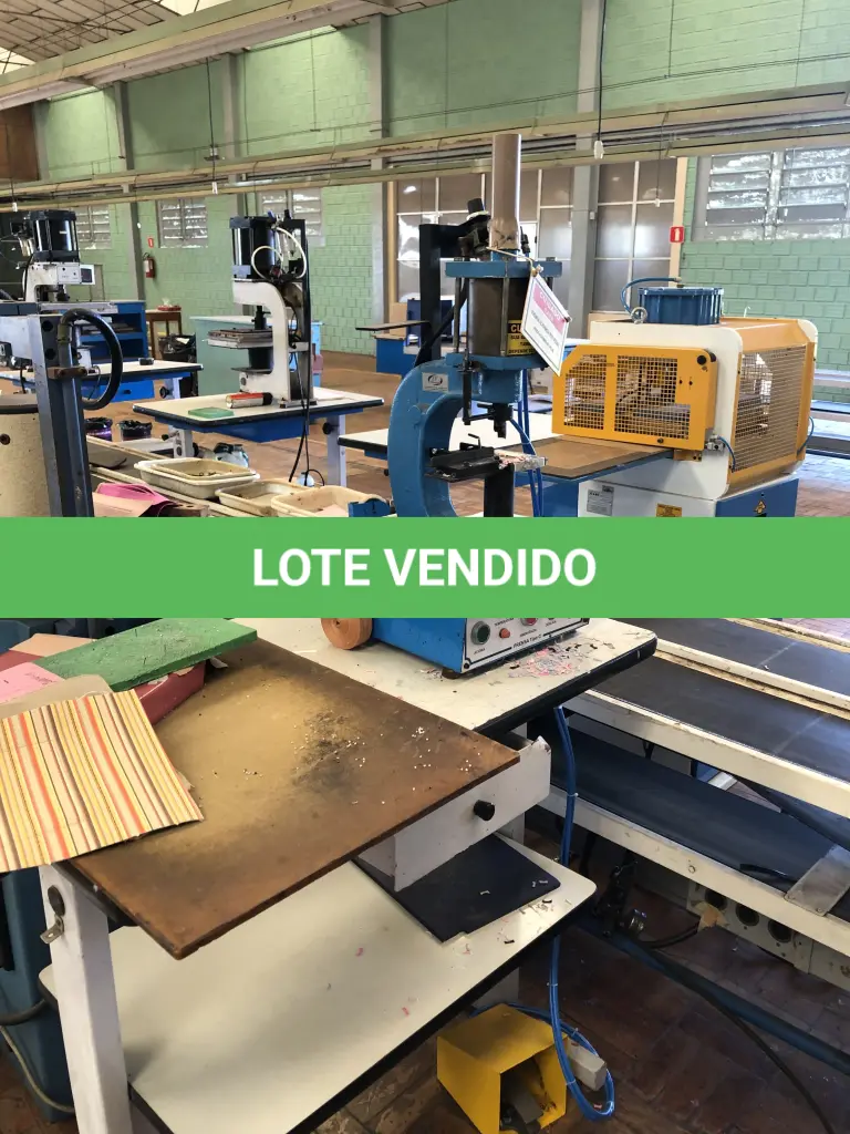LOTE 246