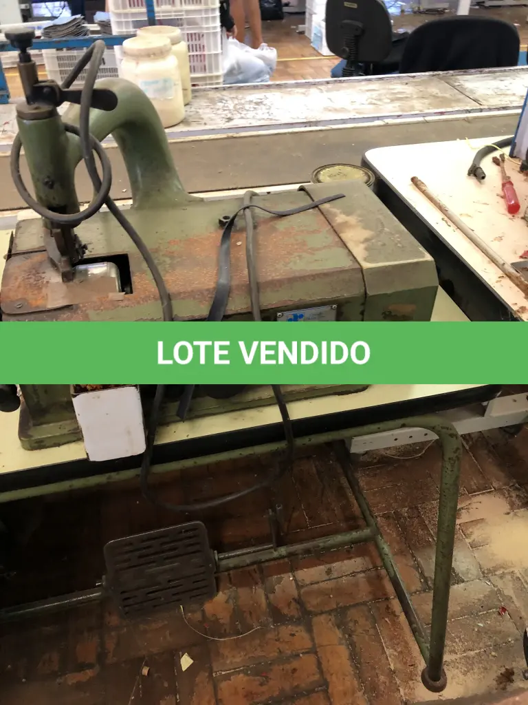 LOTE 339