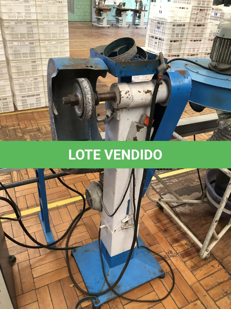 LOTE 281