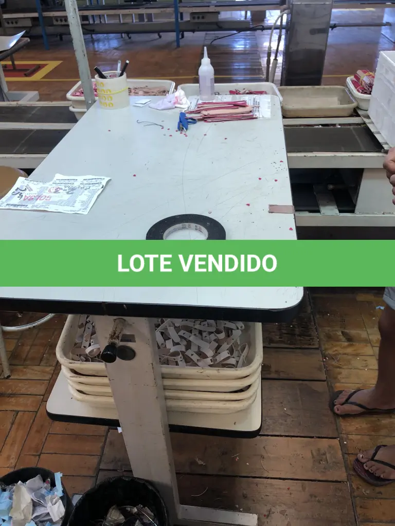 LOTE 234