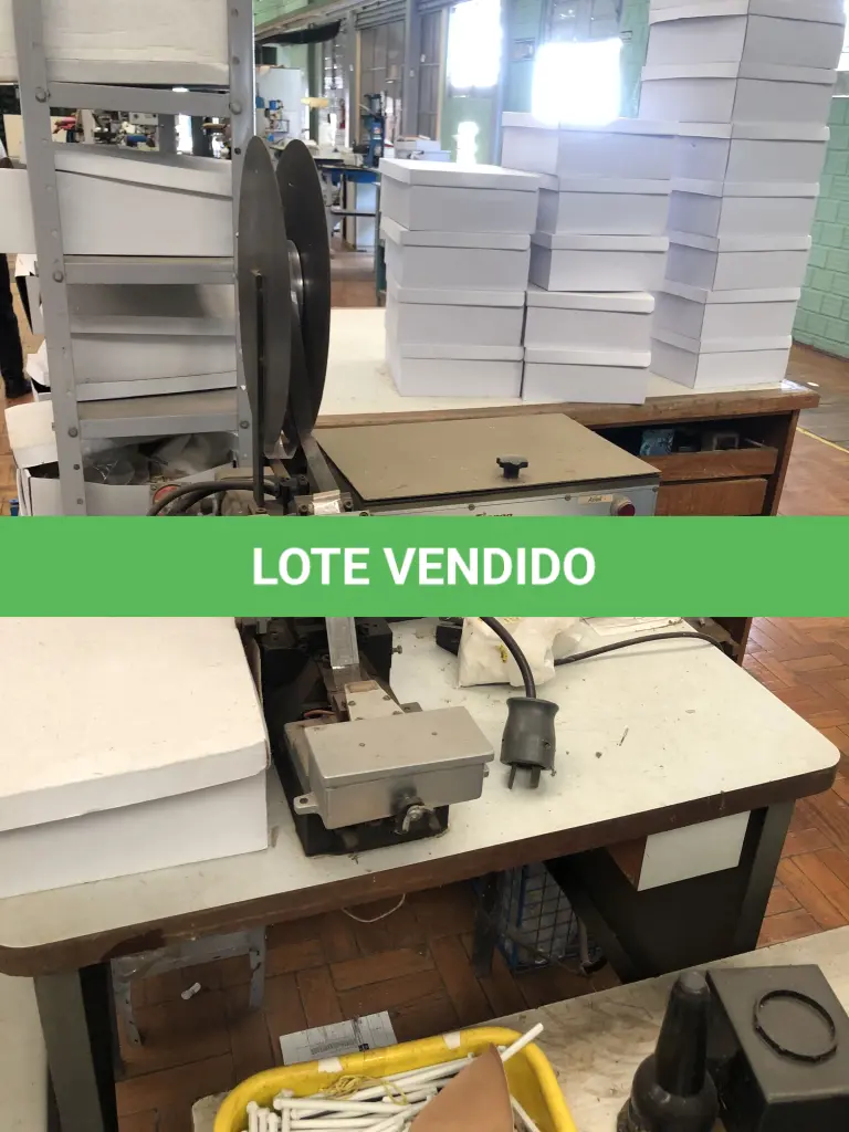 LOTE 311