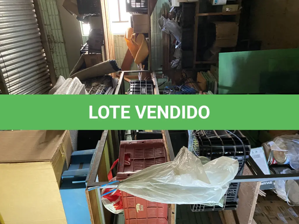 LOTE 446