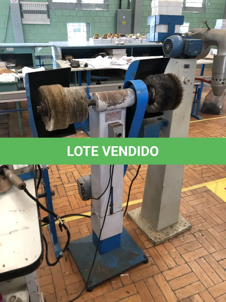 LOTE 302