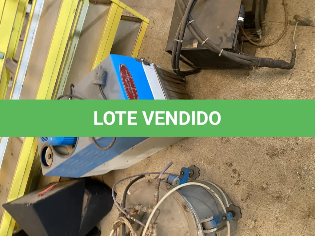 LOTE 481