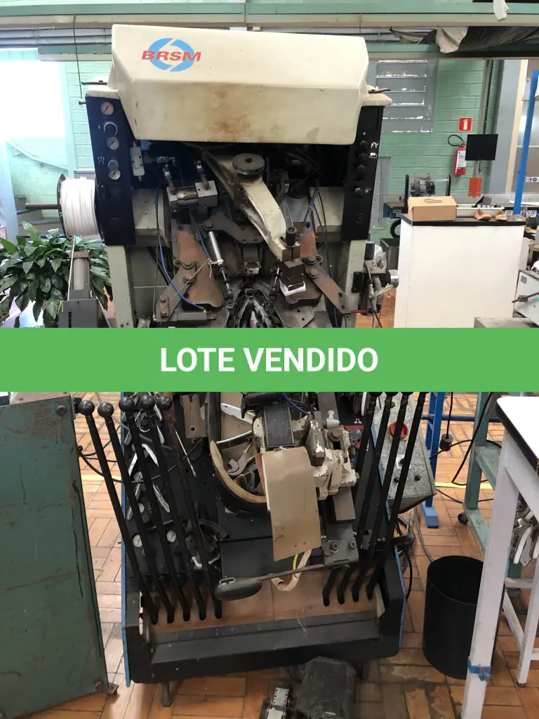 LOTE 291
