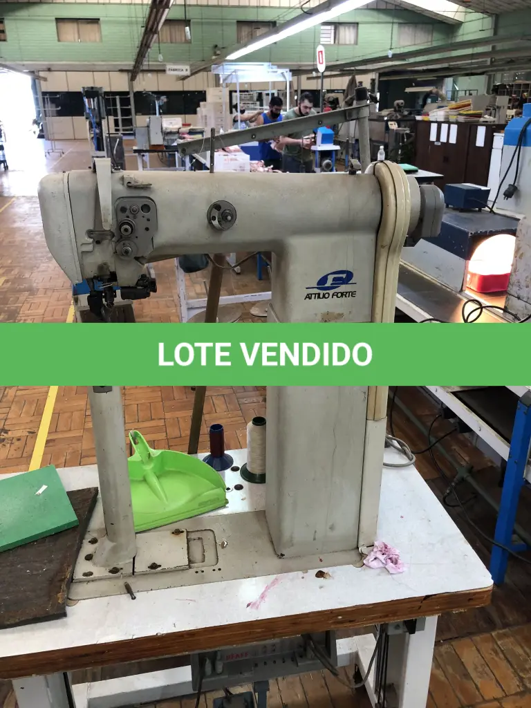 LOTE 226