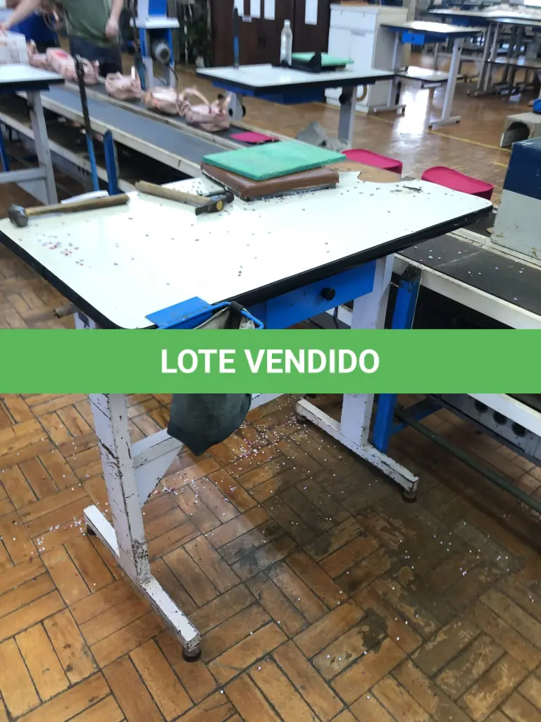 LOTE 228