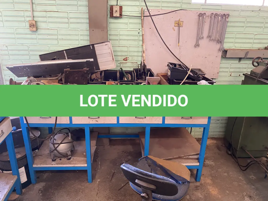 LOTE 466