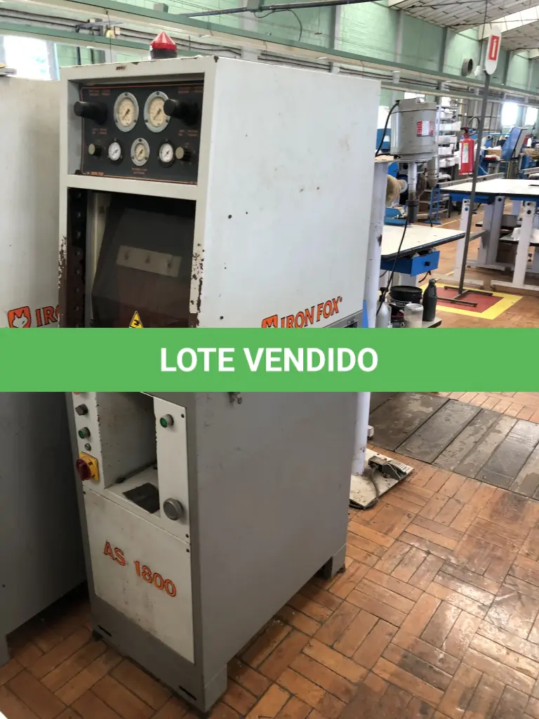 LOTE 299
