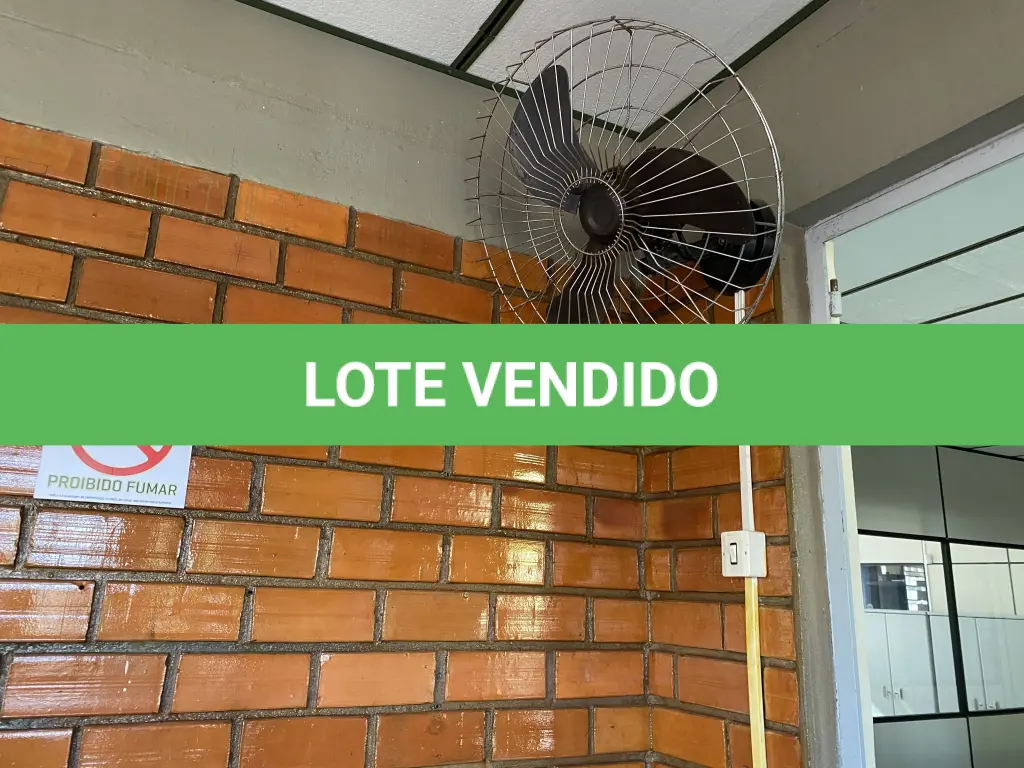 LOTE 497