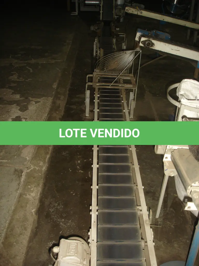 LOTE 033