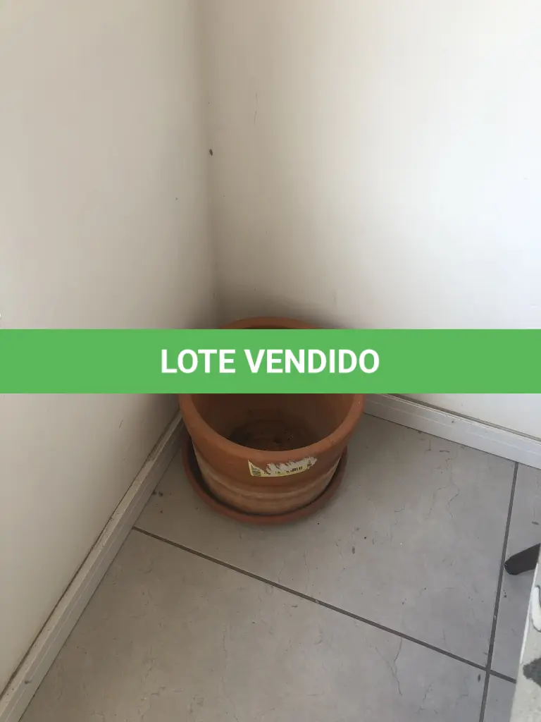 LOTE 006
