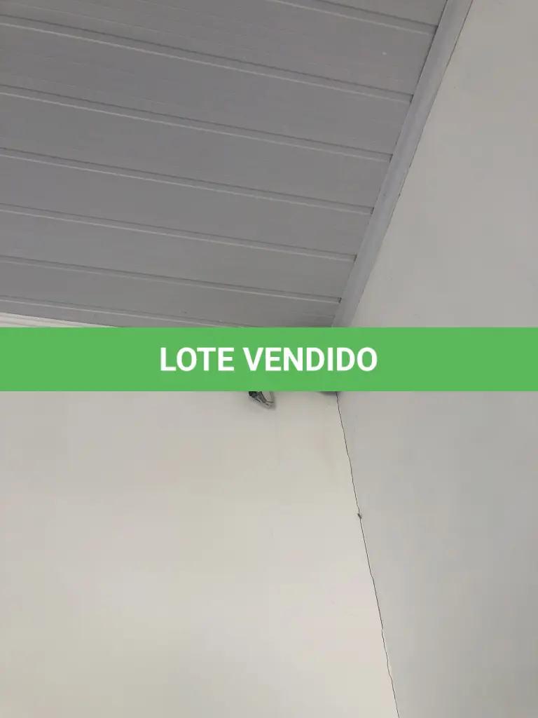 LOTE 007