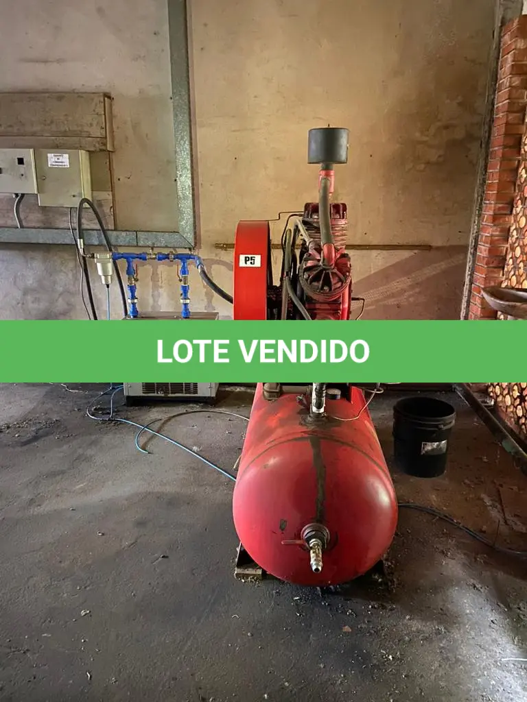 LOTE 252