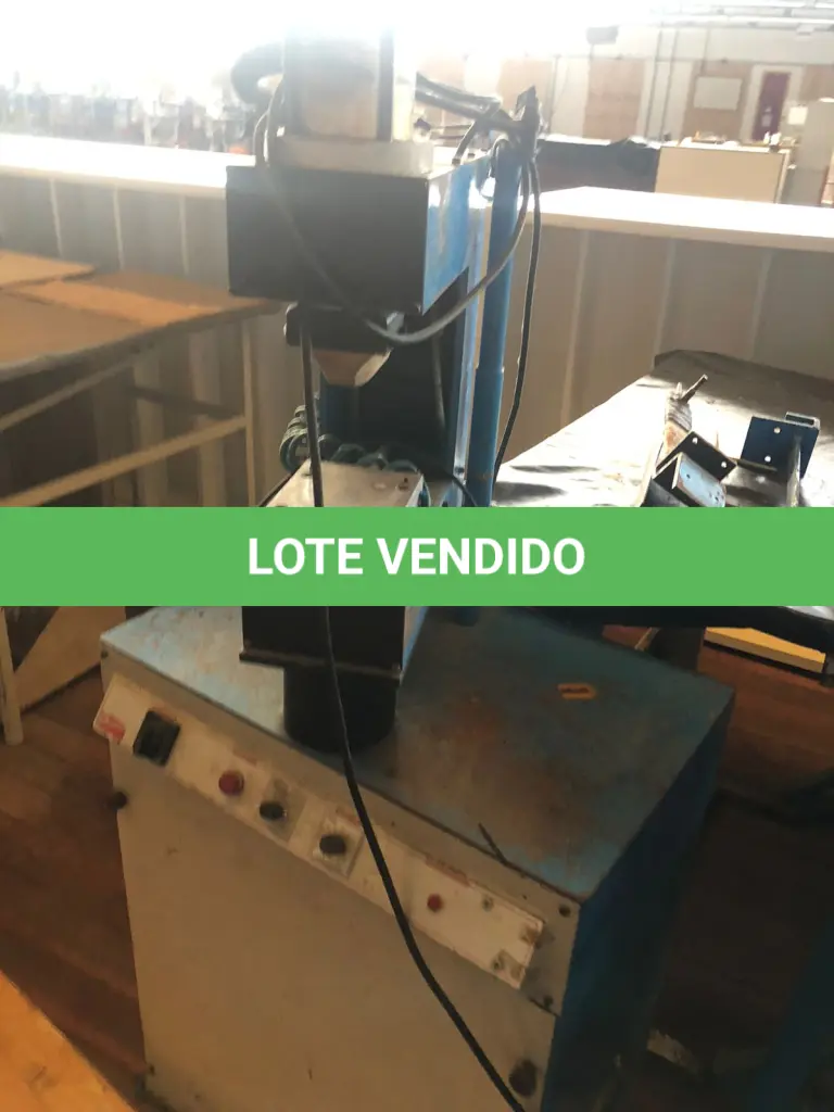 LOTE 239