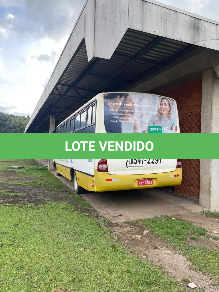 LOTE 253